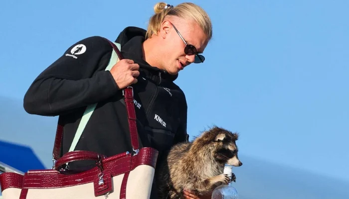  Erling Haaland goes viral after returning to Norway with taxidermy raccoon